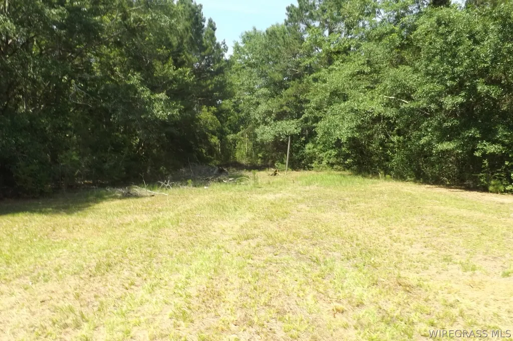 30091 County Line Loop Opp AL 36467