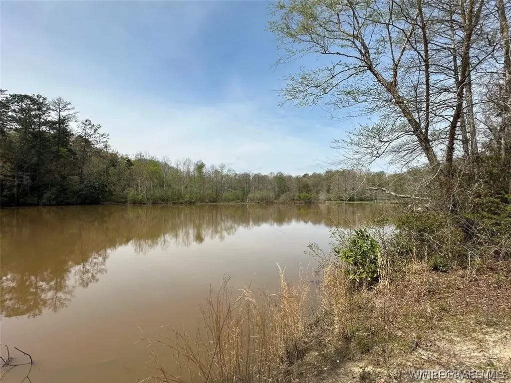 0 Harbor Road Andalusia AL 36420