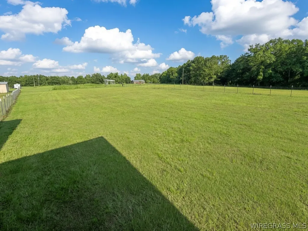 1111 County Road 324 Jack AL 36346