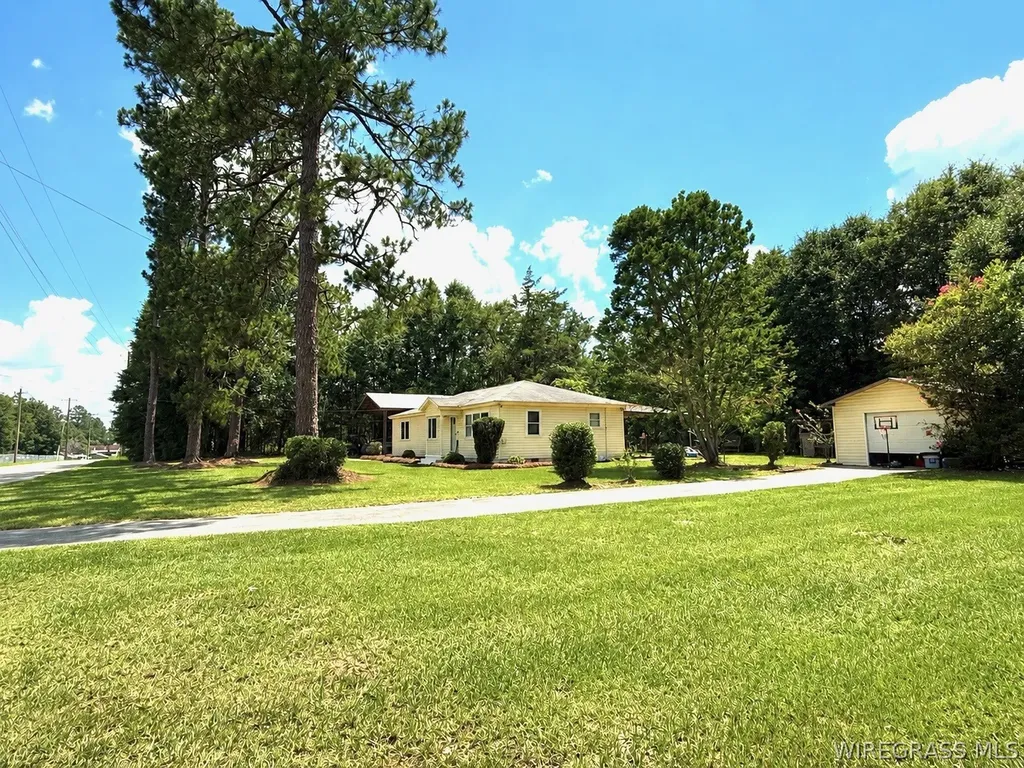 211 N King Street Samson AL 36477