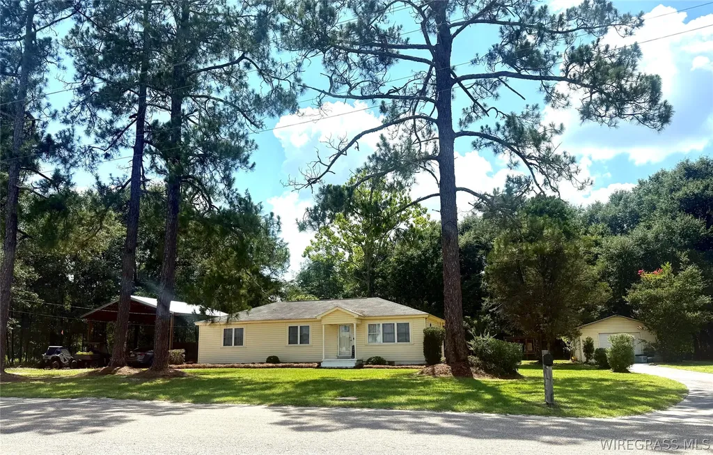 211 N King Street Samson AL 36477