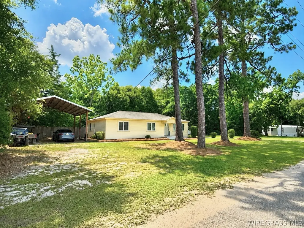 211 N King Street Samson AL 36477