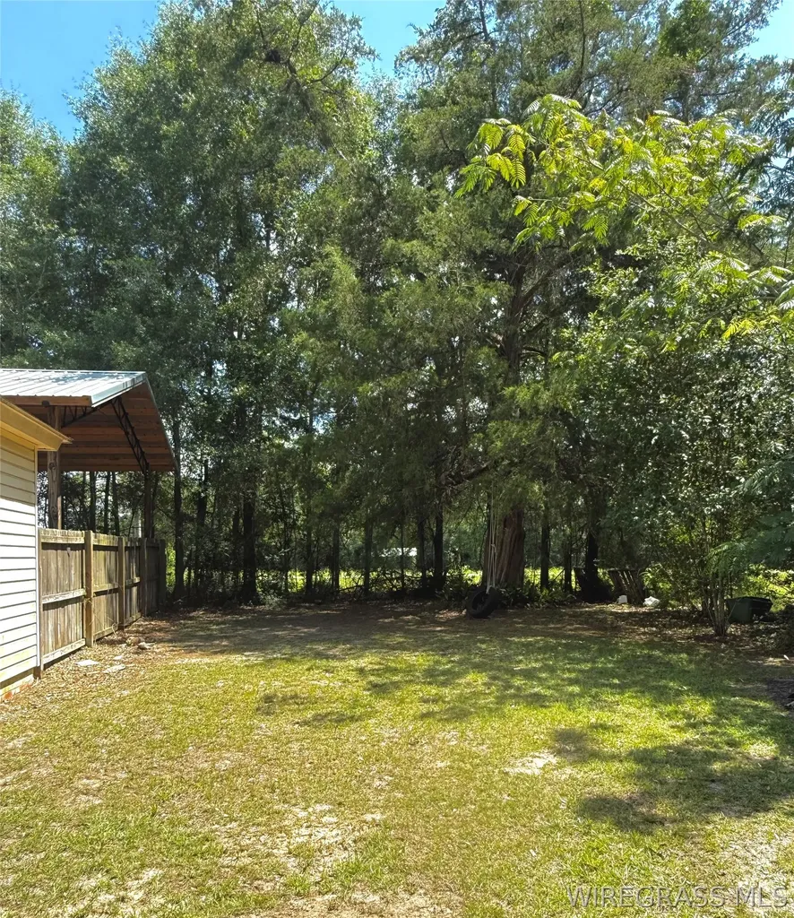 211 N King Street Samson AL 36477