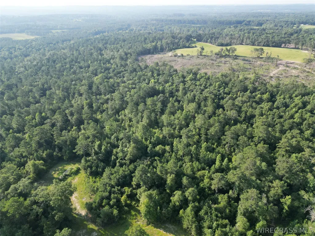 610 County Road 206 Troy AL 36079
