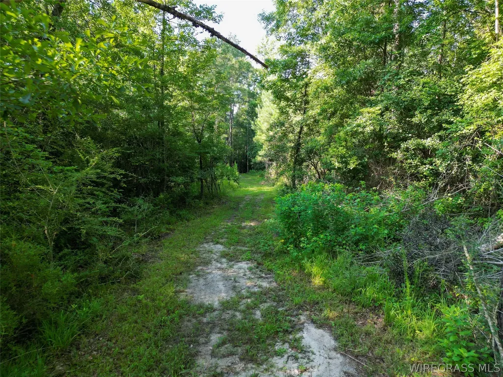 610 County Road 206 Troy AL 36079