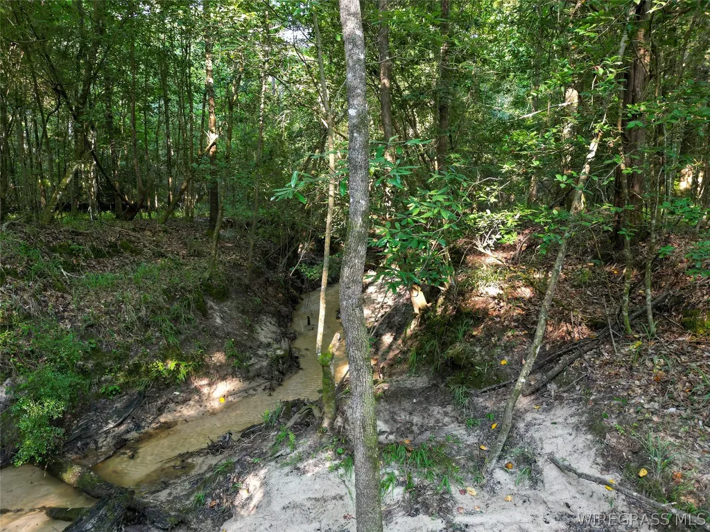 610 County Road 206 Troy AL 36079