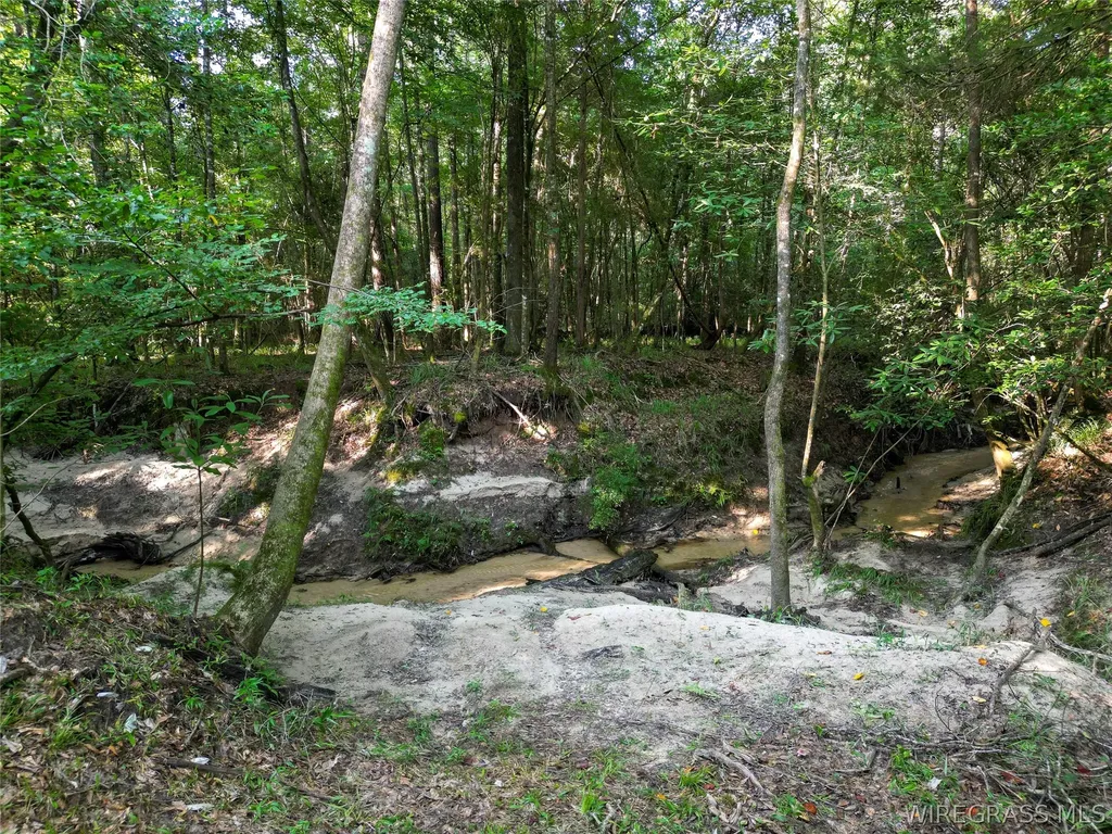 610 County Road 206 Troy AL 36079