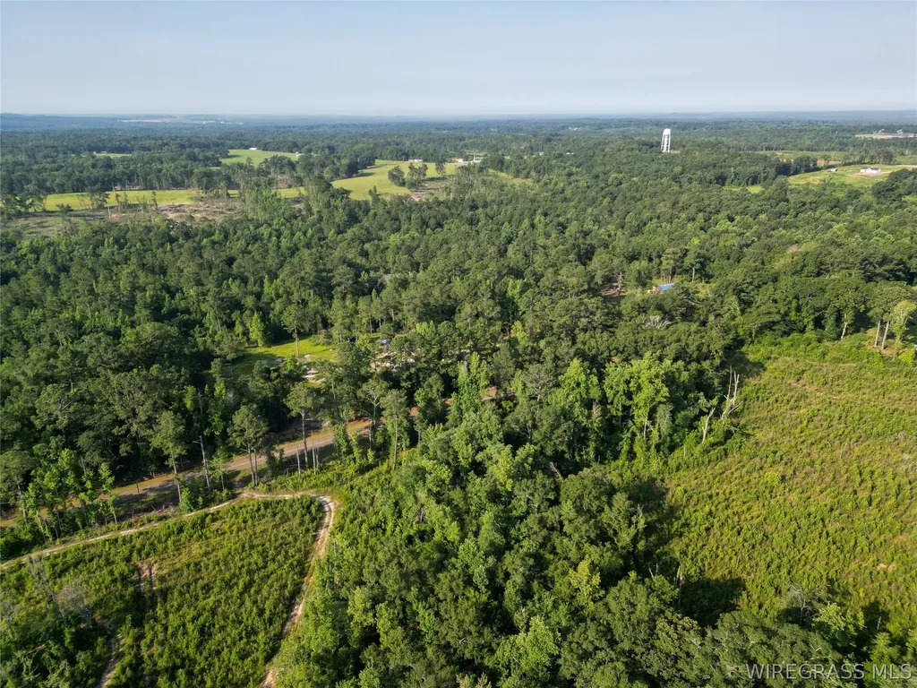 610 County Road 206 Troy AL 36079