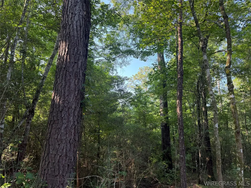 610 County Road 206 Troy AL 36079