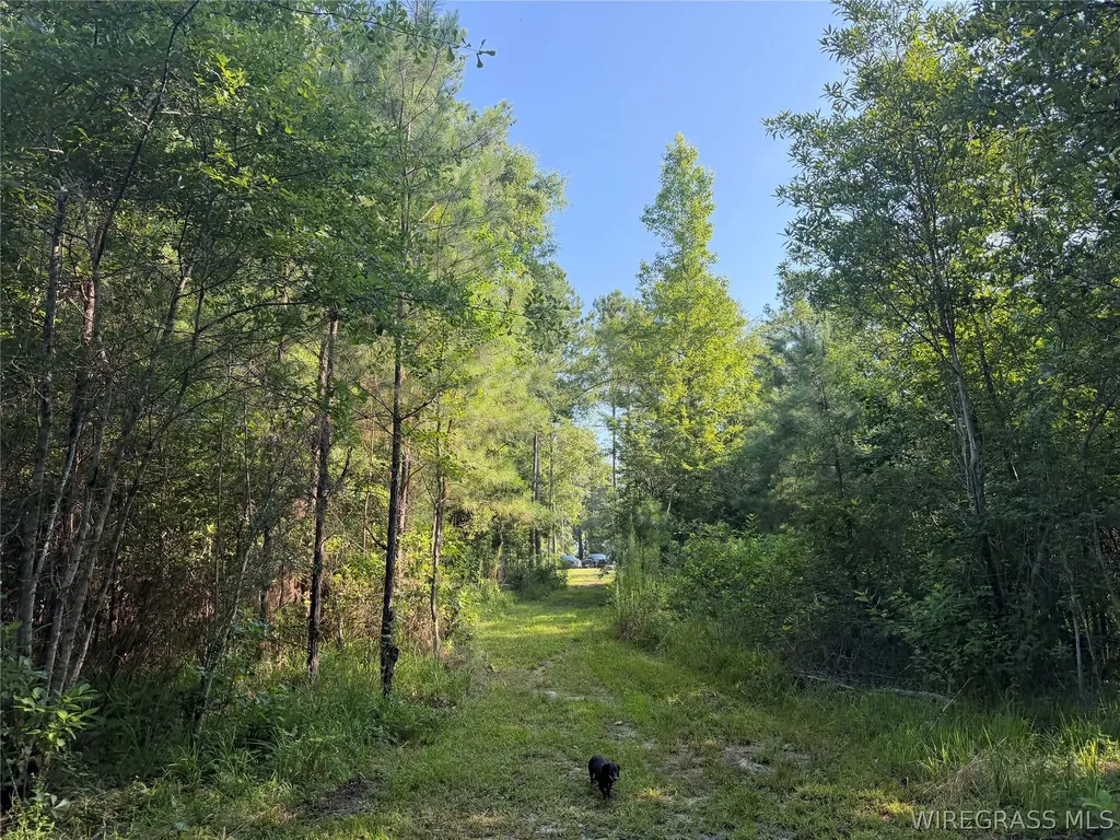 610 County Road 206 Troy AL 36079
