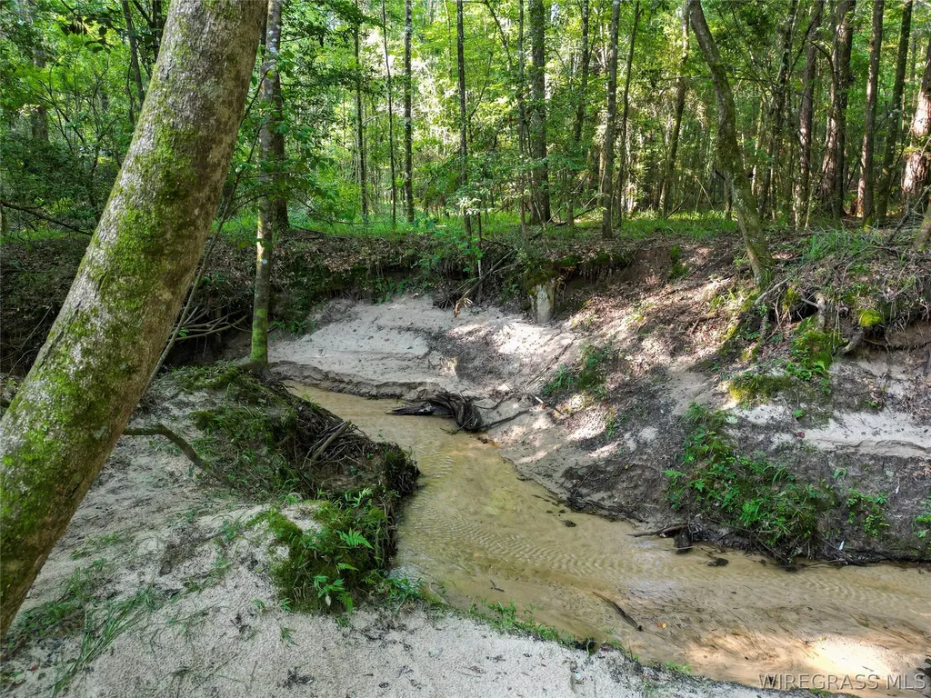 610 County Road 206 Troy AL 36079