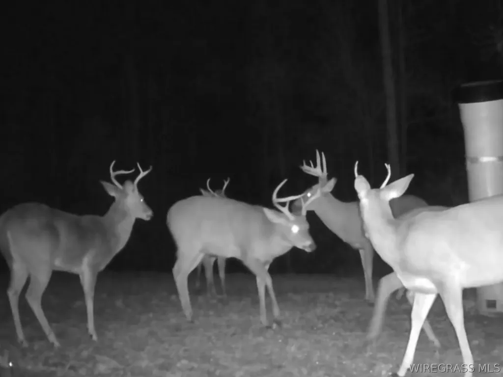 610 County Road 206 Troy AL 36079