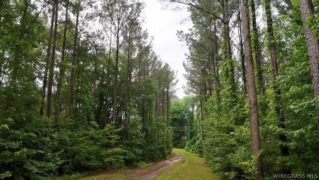 368 River Road Ariton AL 36311