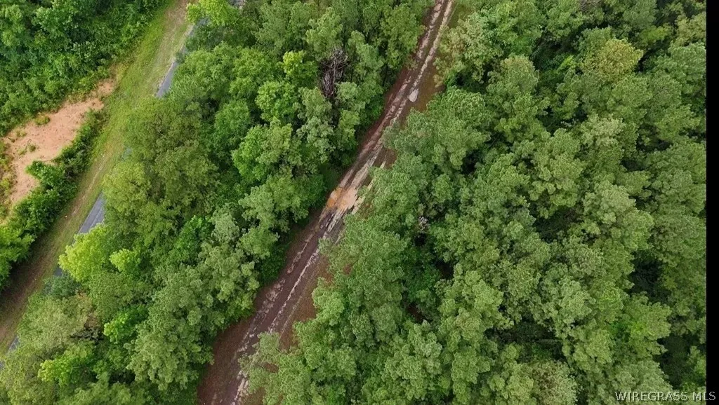 368 River Road Ariton AL 36311