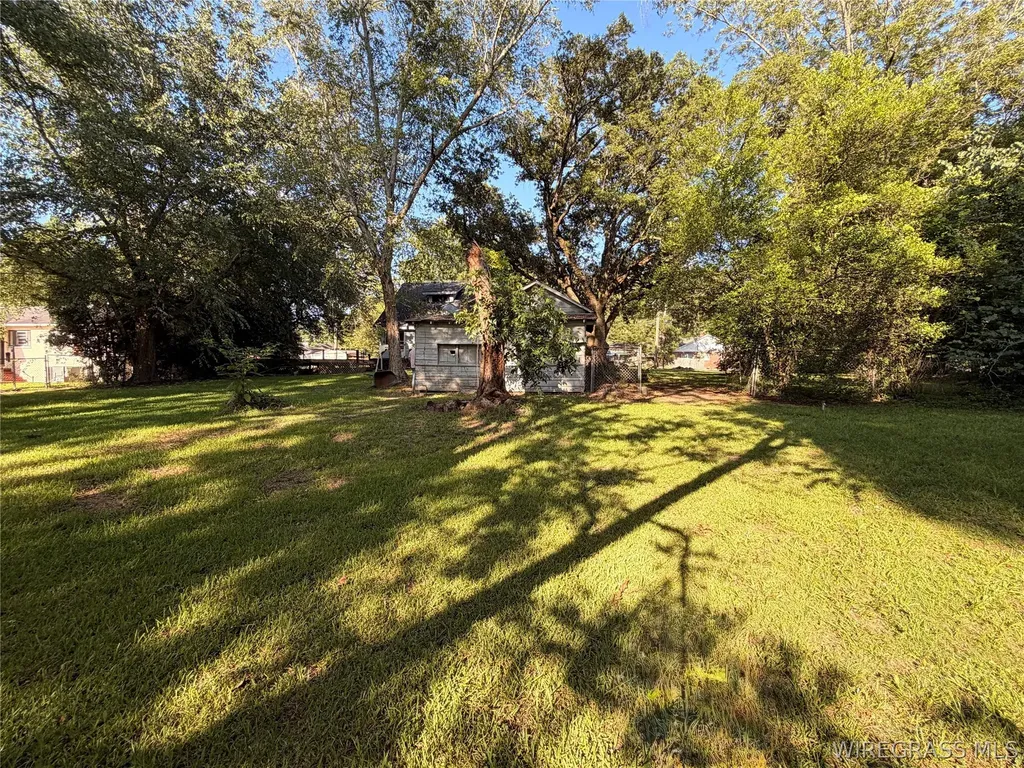 804 Willow Street Troy AL 36081