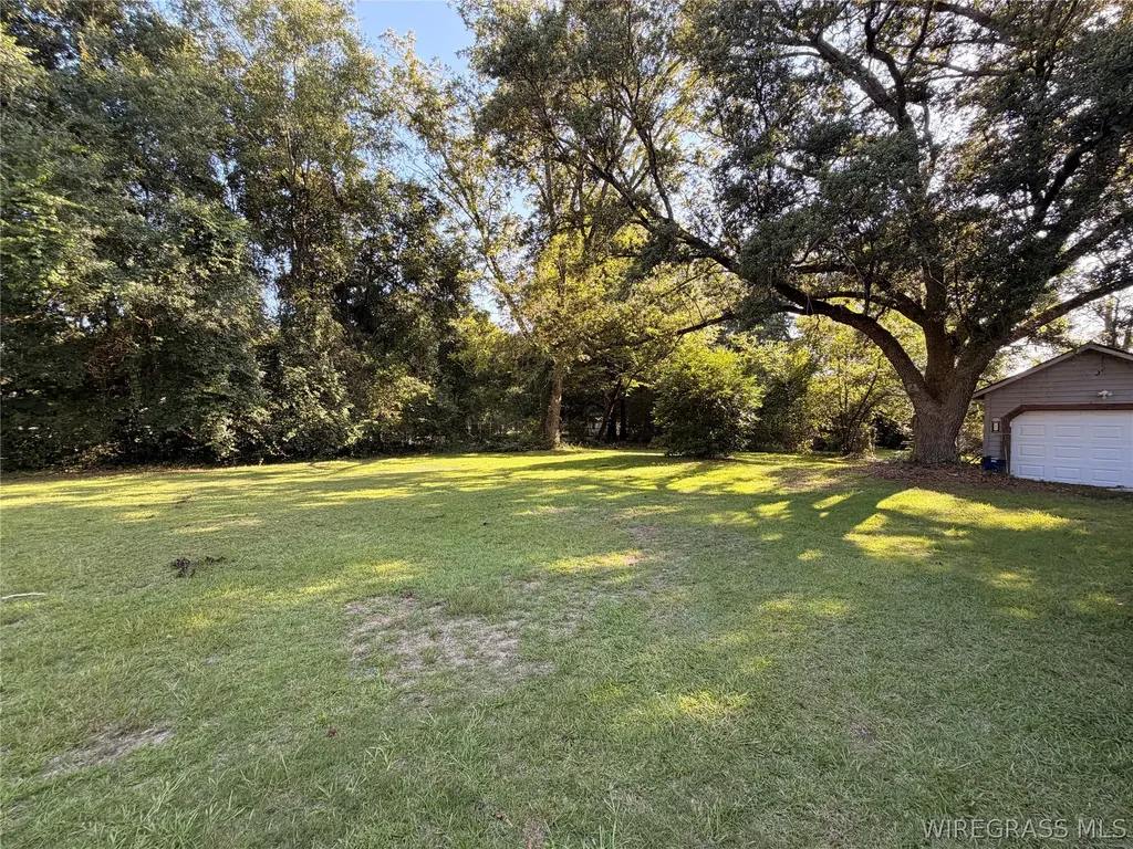 804 Willow Street Troy AL 36081
