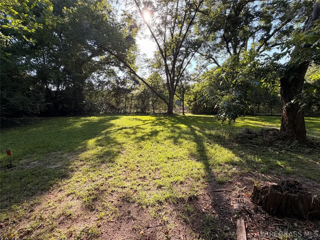 804 Willow Street Troy AL 36081