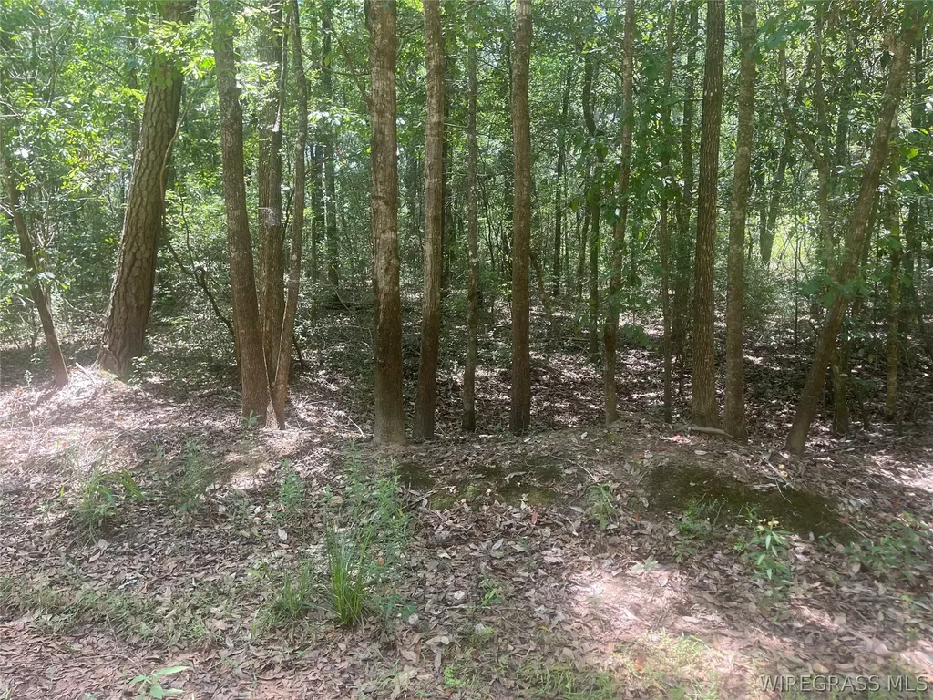 0 E Forest Drive Daleville AL 36322