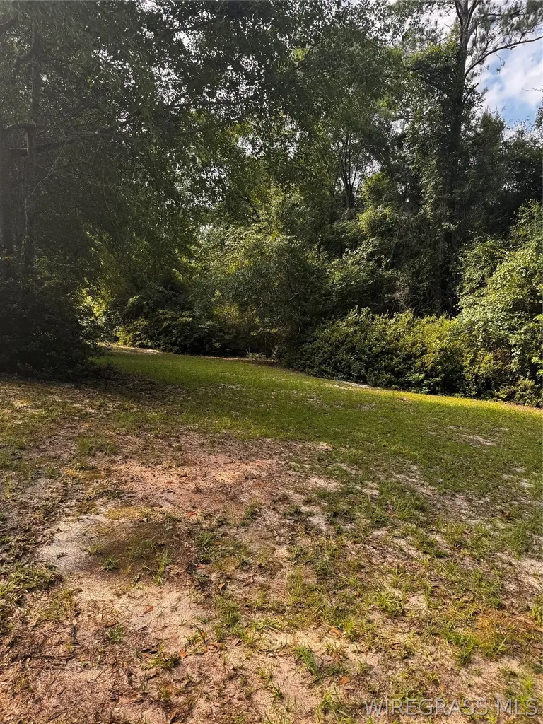 574 Davis Street E Elba AL 36323