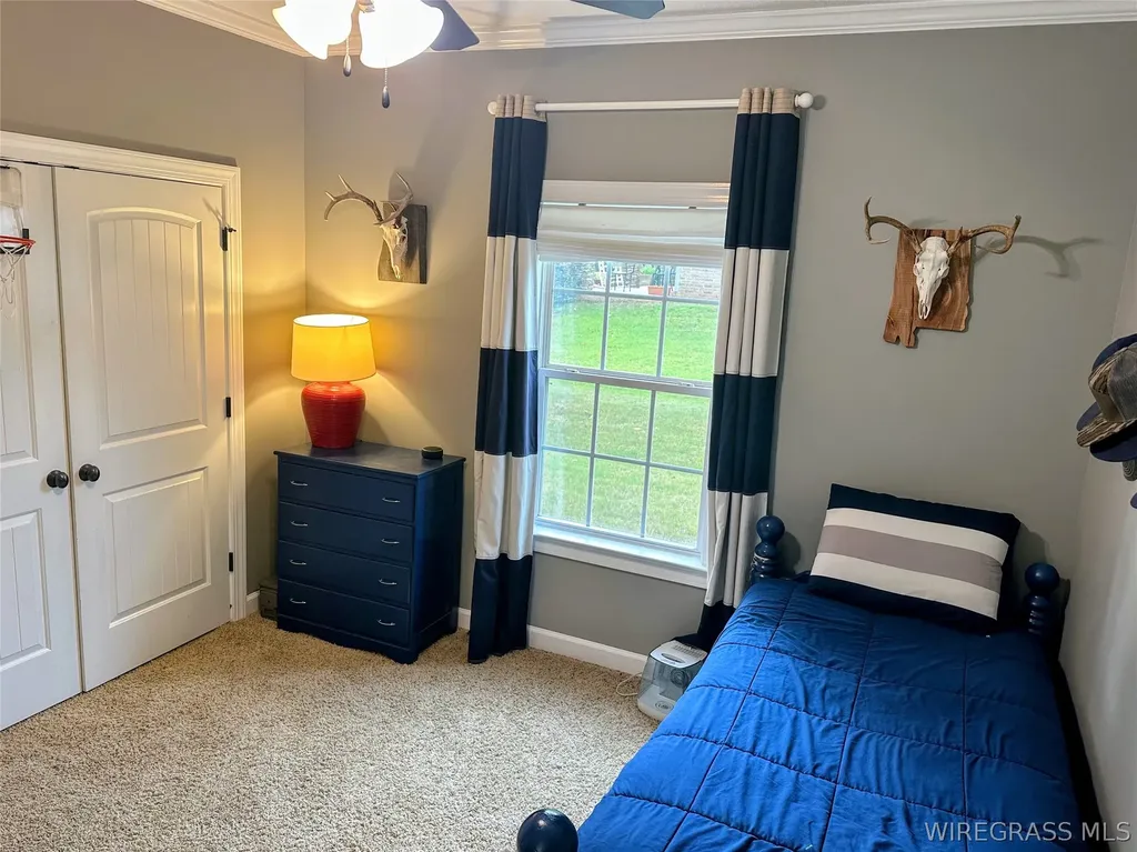 161 County Road 171 New Brockton AL 36351