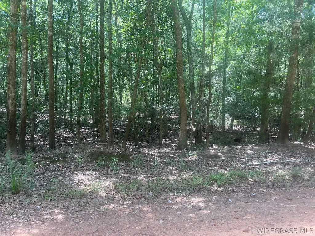 0 E Forest Drive Daleville AL 36322