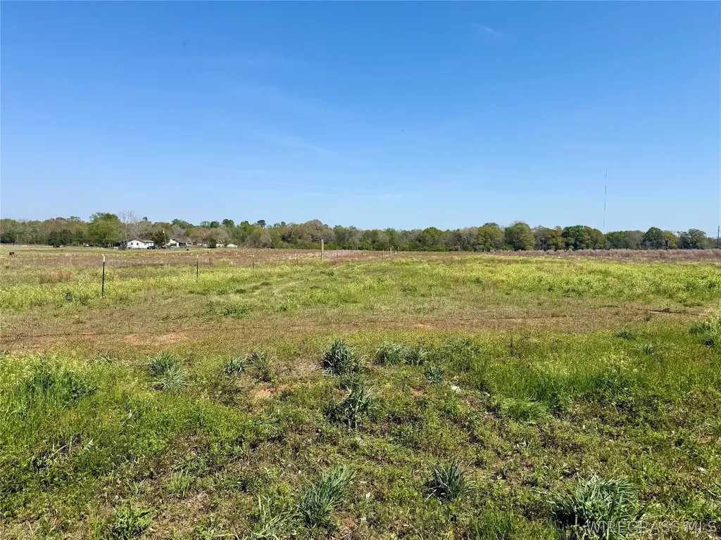 8 Omussee Road Dothan AL 36303