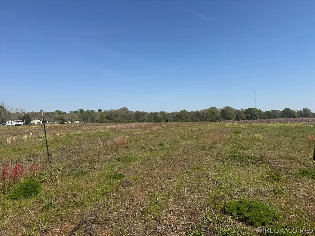 8 Omussee Road Dothan AL 36303