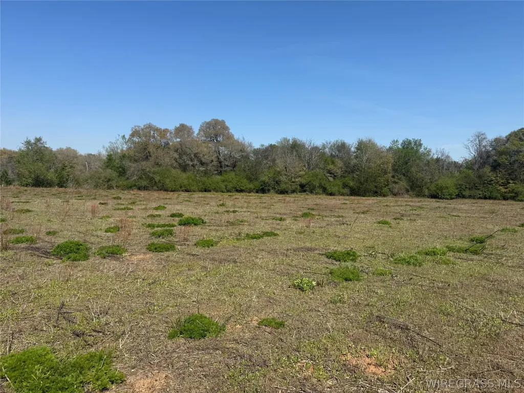 8 Omussee Road Dothan AL 36303