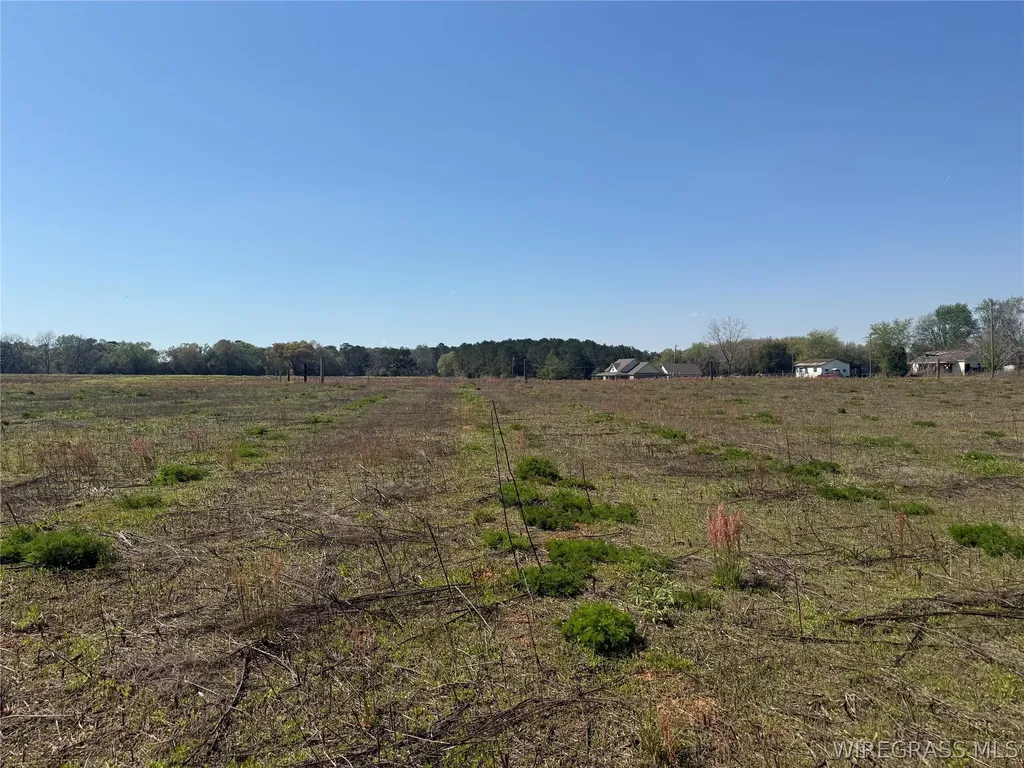8 Omussee Road Dothan AL 36303