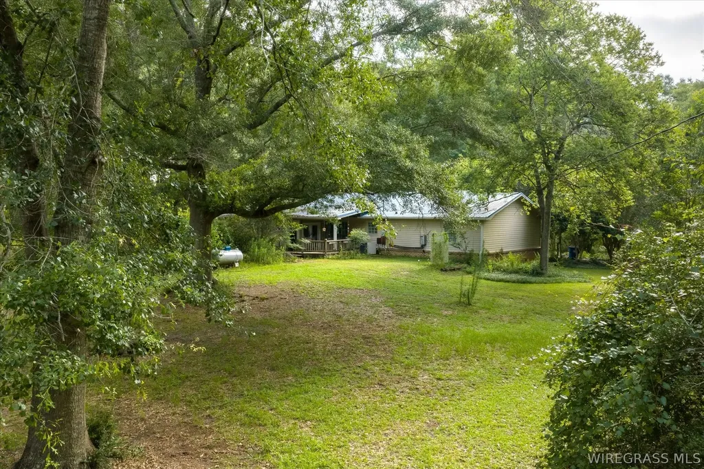 429 N Bob Street Coffee Springs AL 36318