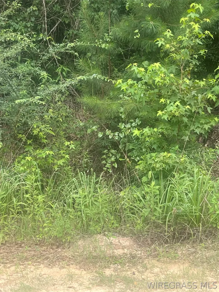 0 E Forest Park Road Daleville AL 36322