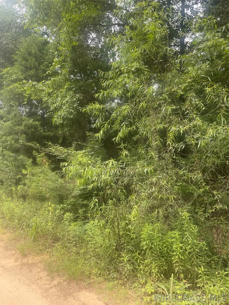 0 E Forest Park Road Daleville AL 36322