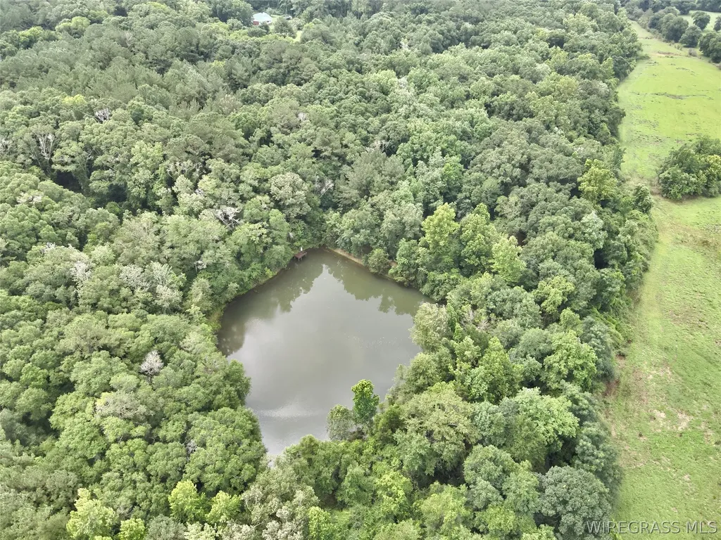 22 Private Road 1702 Daleville AL 36322