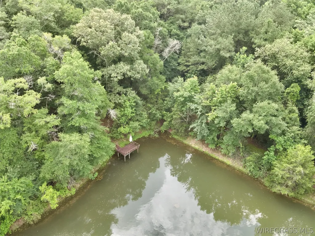 22 Private Road 1702 Daleville AL 36322