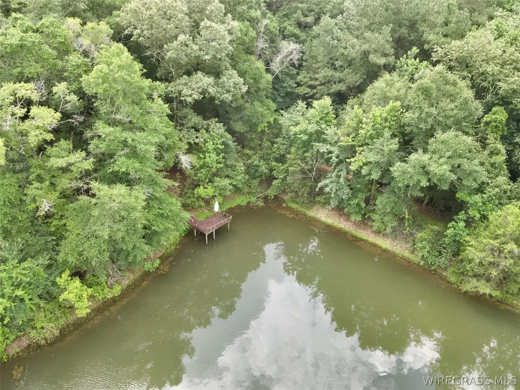22 Private Road 1702 Daleville AL 36322