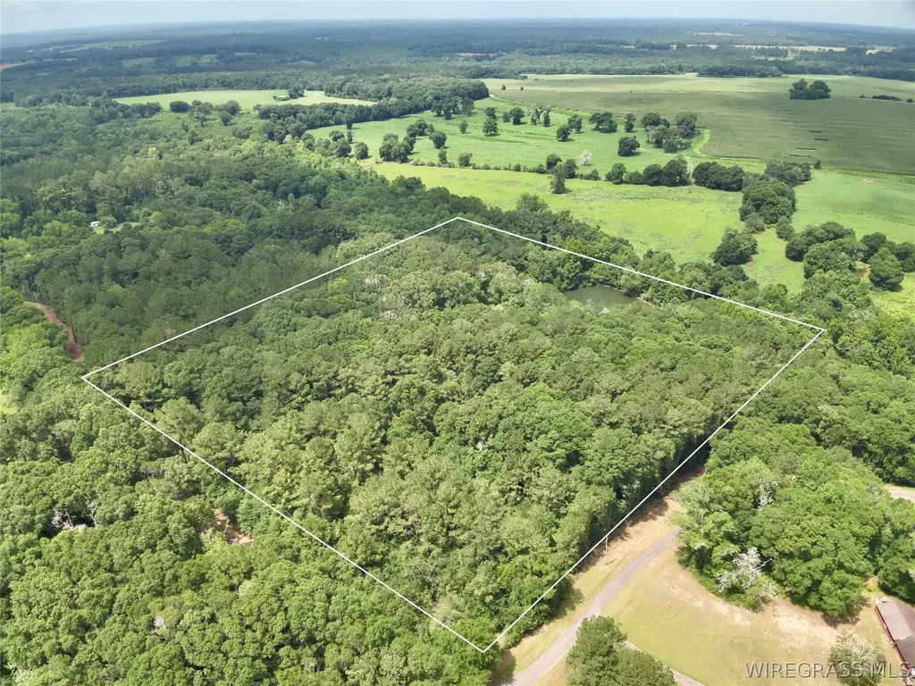 22 Private Road 1702 Daleville AL 36322