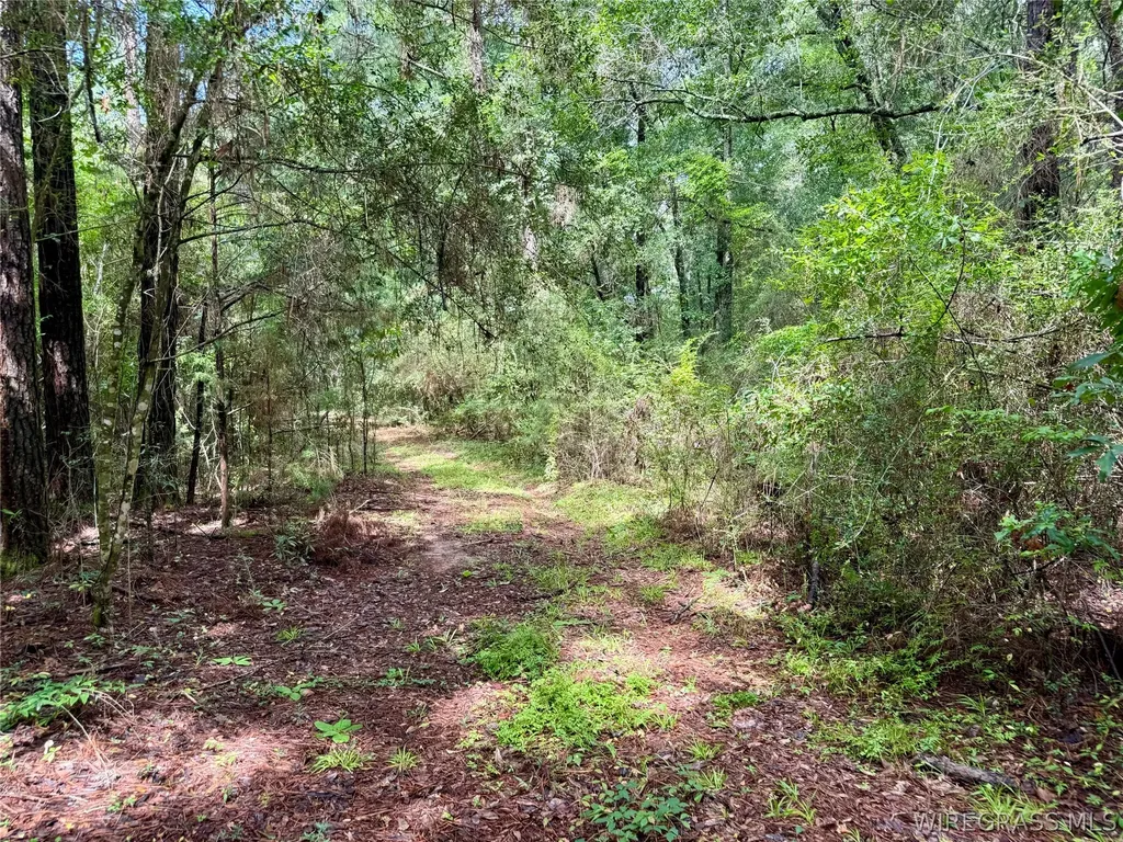22 Private Road 1702 Daleville AL 36322