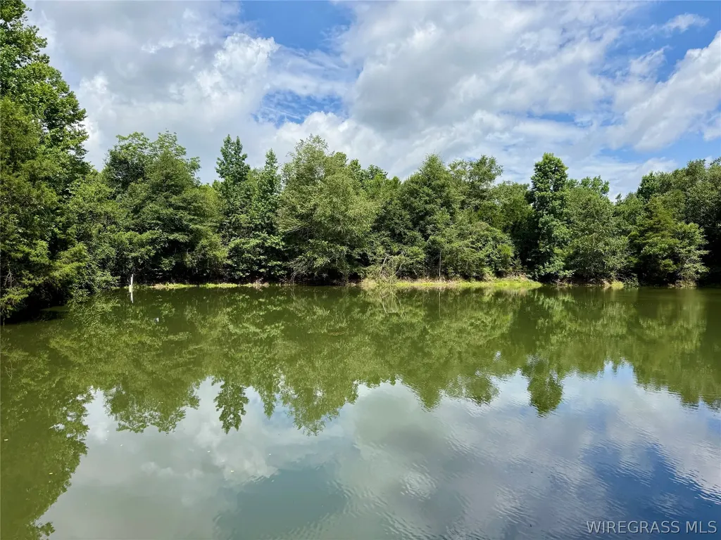 22 Private Road 1702 Daleville AL 36322