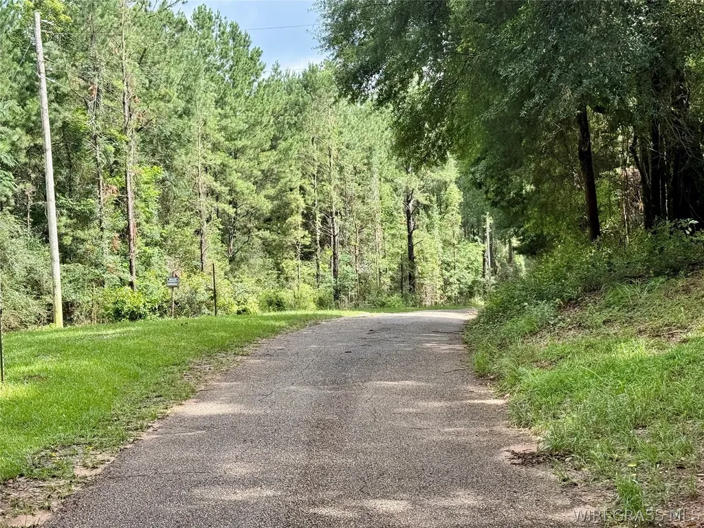 22 Private Road 1702 Daleville AL 36322