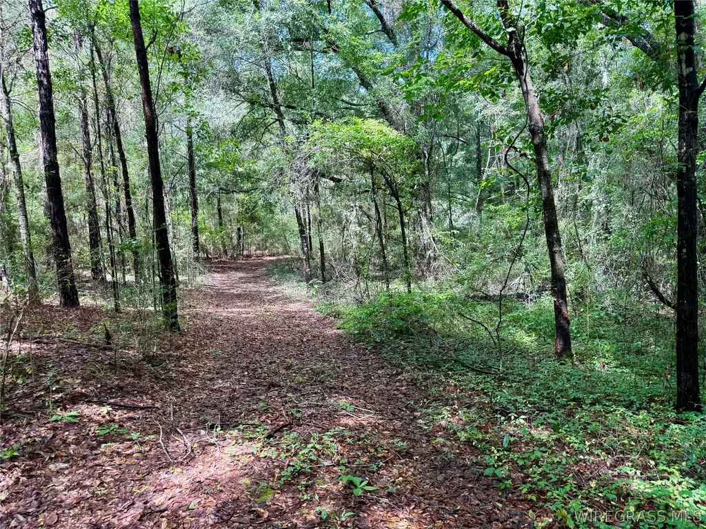 22 Private Road 1702 Daleville AL 36322