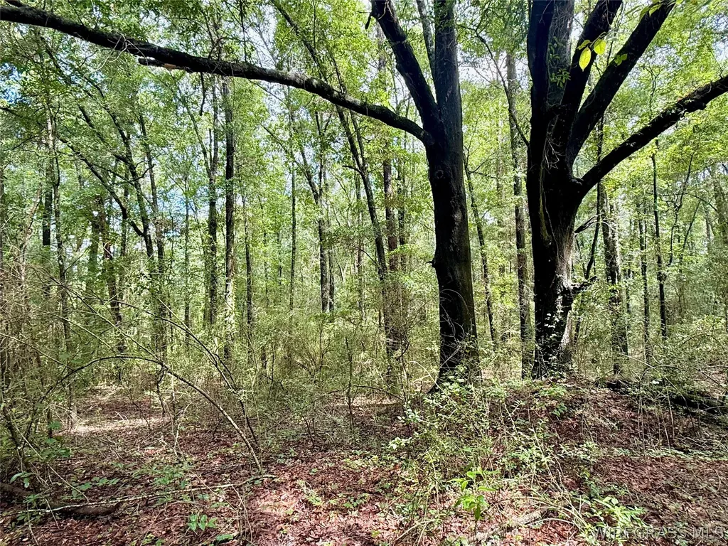 22 Private Road 1702 Daleville AL 36322