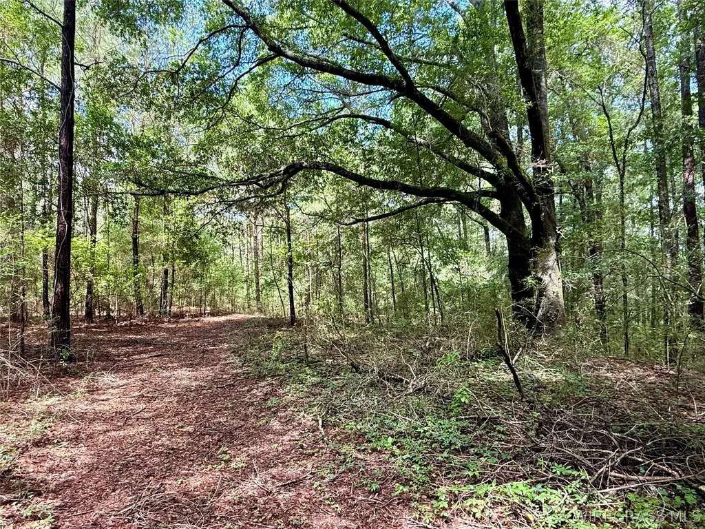 22 Private Road 1702 Daleville AL 36322