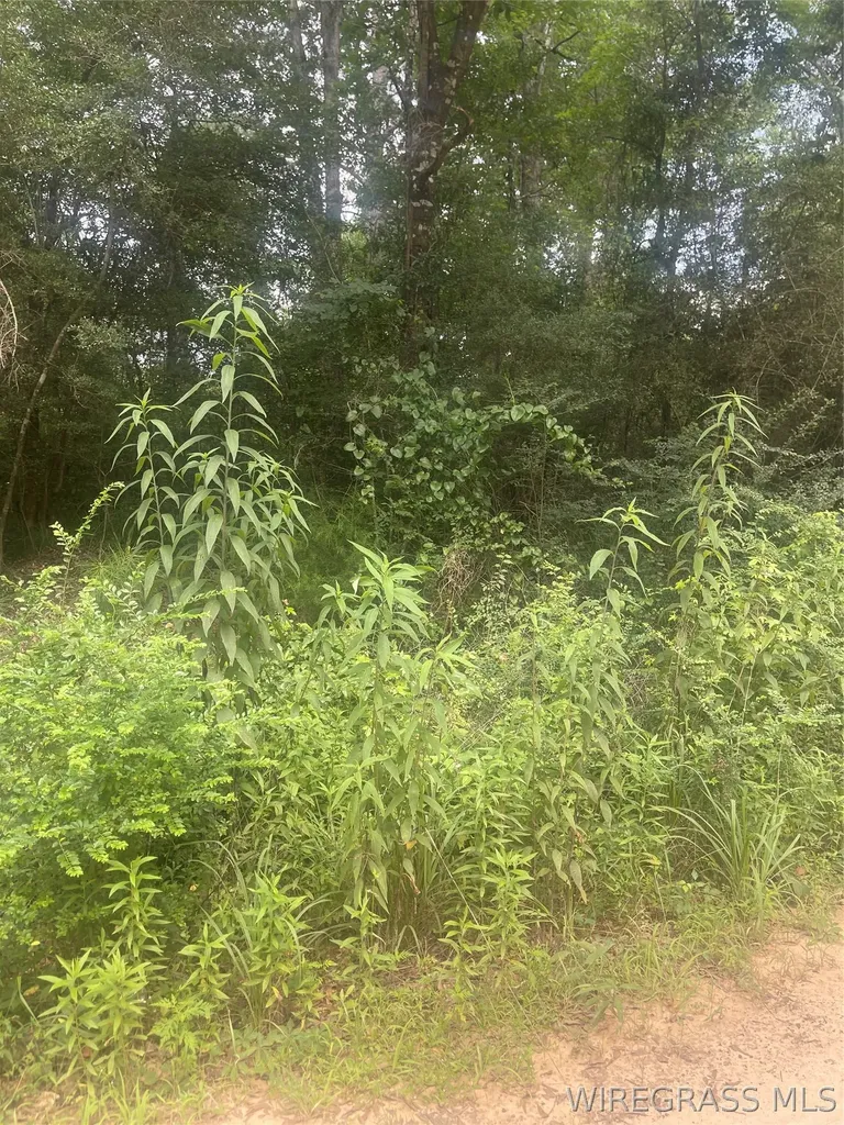 0 W Forest Road Daleville AL 36322