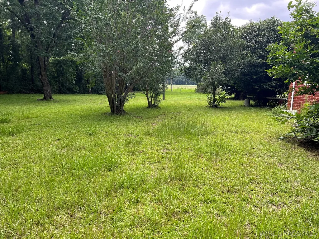 33461 Rose Hill Road Dozier AL 36028