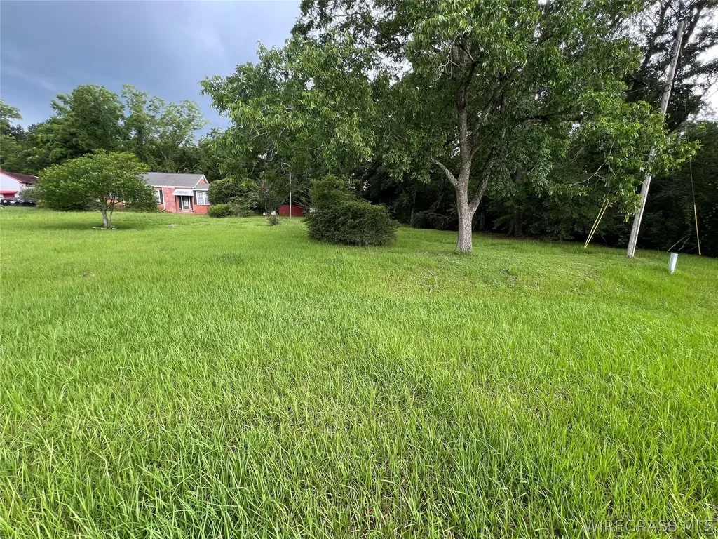 33461 Rose Hill Road Dozier AL 36028