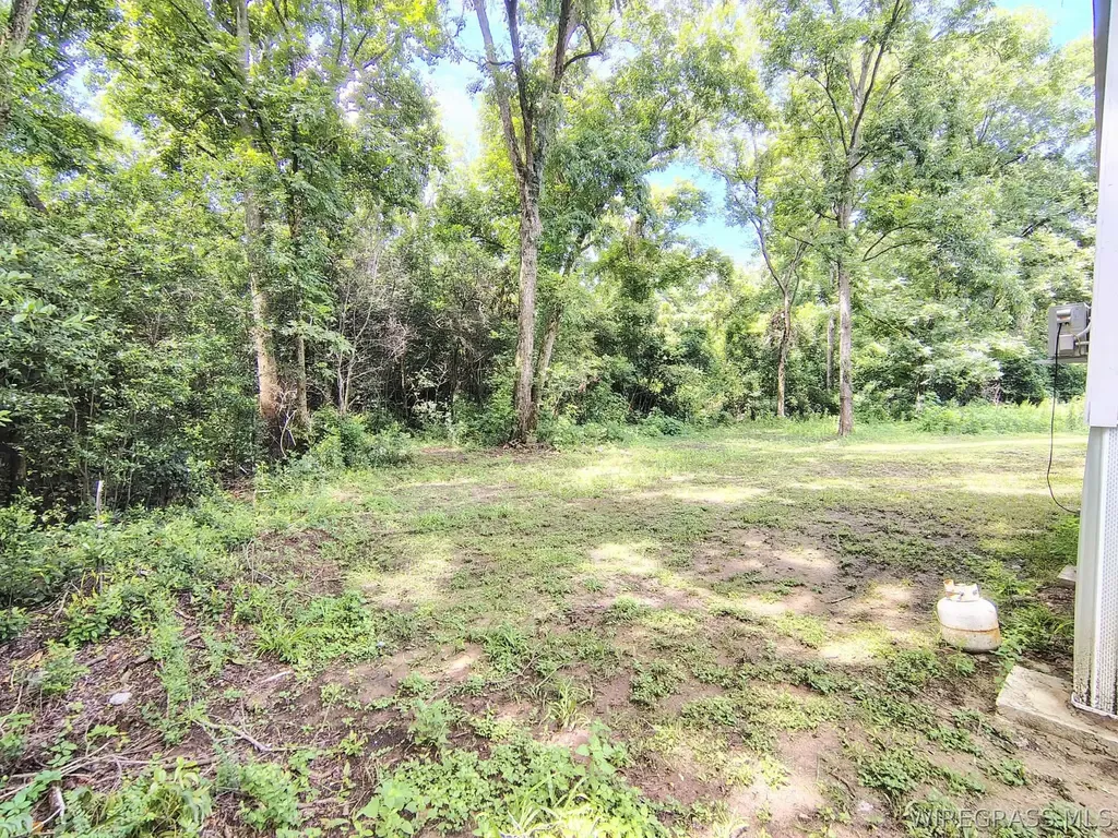 217 Dominey Street Enterprise AL 36330