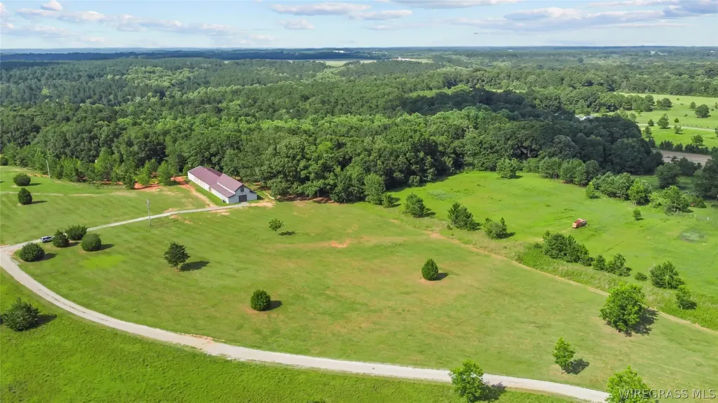 9 County Road 517 Elba AL 36323