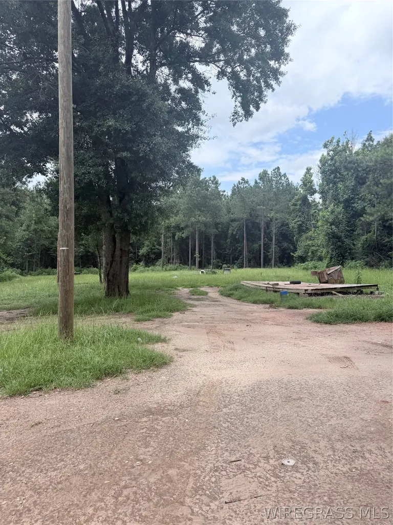 3604 S Alabama Avenue Monroeville AL 36460