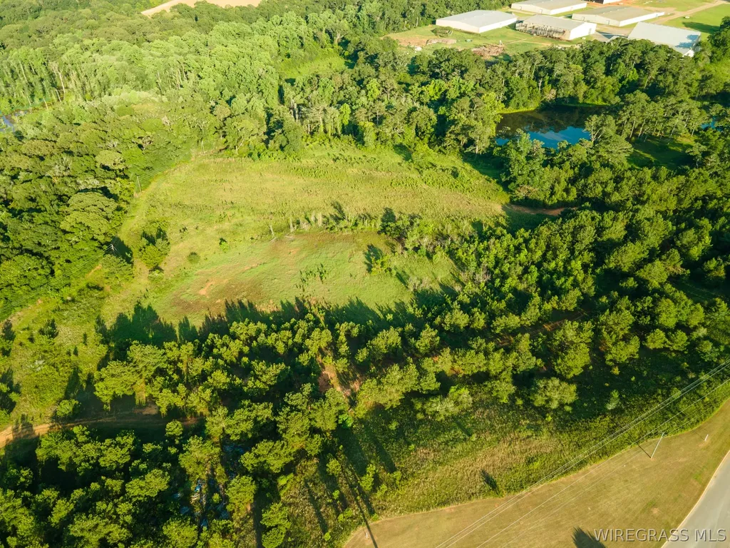 2081 Bellwood Road Enterprise AL 36330