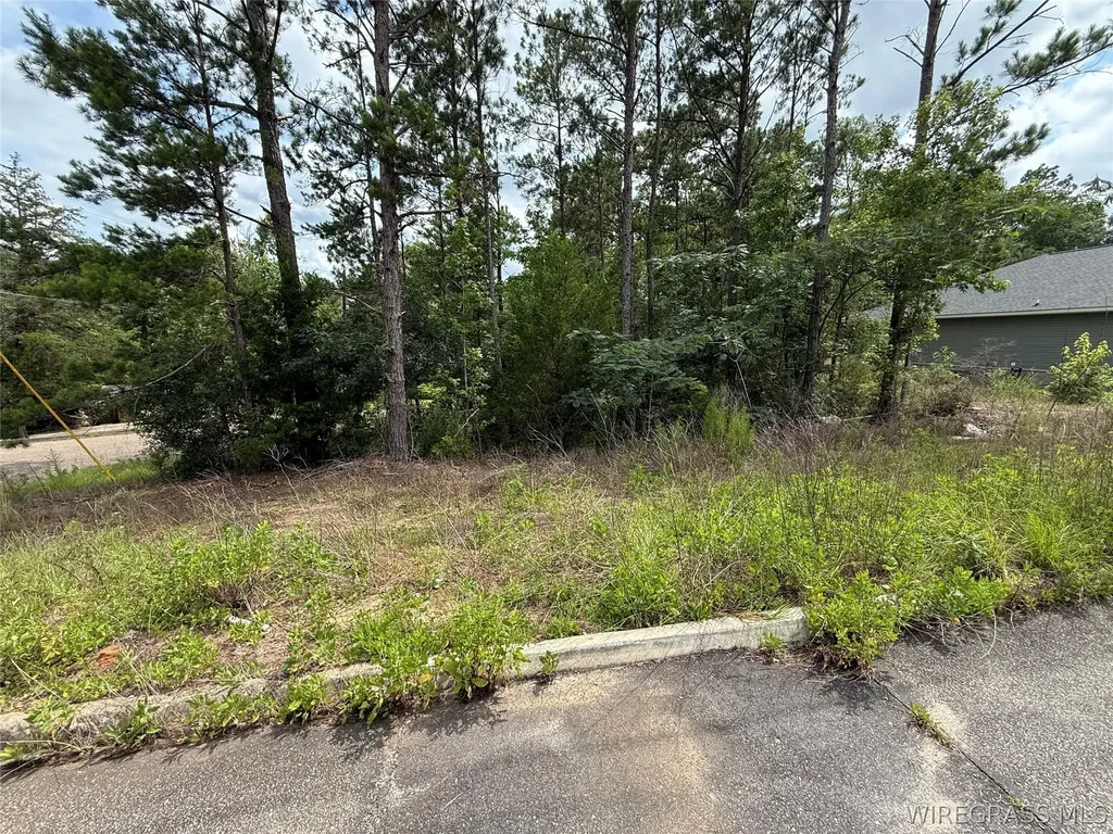 274 Edith Way Daleville AL 36322